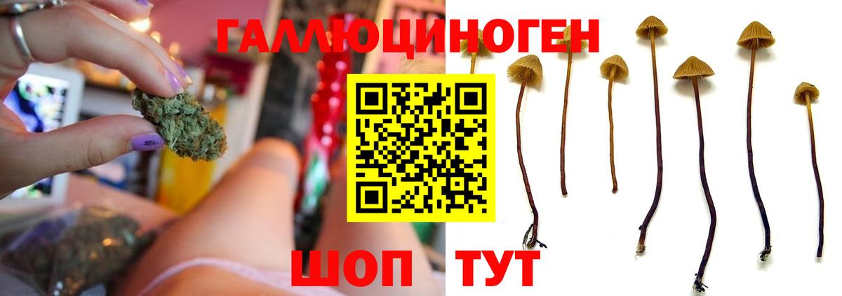 Гусь-Хрустальный  купить   Псилоцибиновые грибы Magic Shrooms  Вход с VPN  Галлюциногенные грибы мухоморы 
